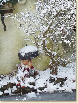 20100130 Efteling 10